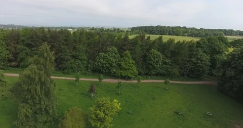Female runner in park Stock Footage 89029782