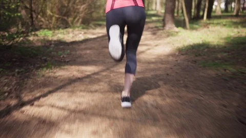 Female runner run in spring sunny forest Stock Footage 107040260