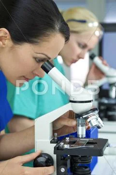 Female scientific research team using microscopes in a laboratory Stock Photos