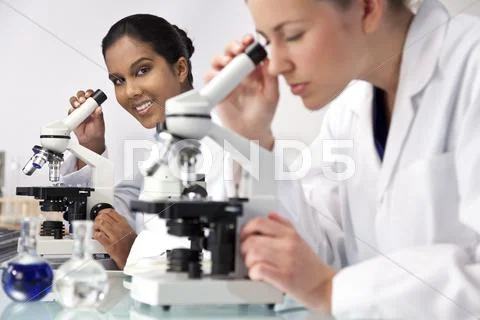 Female scientific research team using microscopes in a laboratory Stock Photos