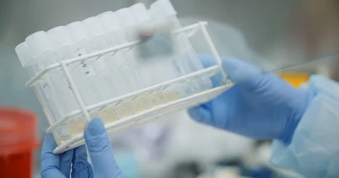 Female scientist doing experiment in laboratory. Scientist Holding Test Tube in Stock Footage 126280965