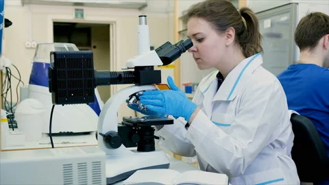 Female scientist examines a new sample of a plant Stock Footage 103713730