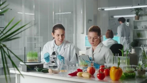 A female scientist examines a sample through a microscope and informs the Vidéo 237811595