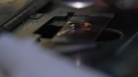 Female scientist examines a sample under a microscope in a laboratory Stock Footage 318462930