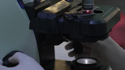 Female scientist examines a sample under a microscope in a laboratory Stock Footage 318463160