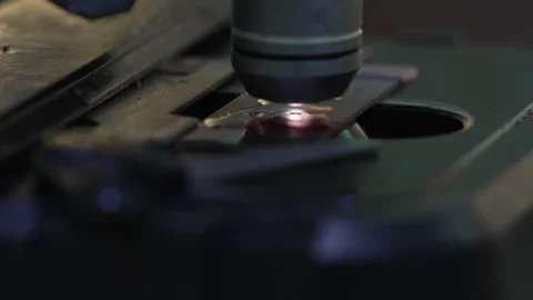 Female scientist examines a sample under a microscope in a laboratory Stock Footage 318463181