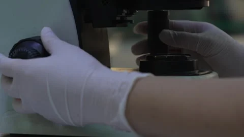 Female scientist examines a sample under a microscope in a laboratory Stock Footage 318463372