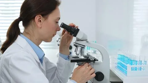 Female scientist examining microscope slide, analyzing chemical sample in Stock Photos