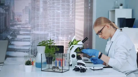 Female scientist examining samples with microscope in modern laboratory Video stock 340982630