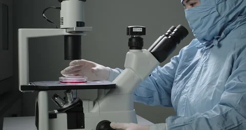 Female scientist in hazmat analyzing sample in a Petri dish under microscope Stock Footage 275404608