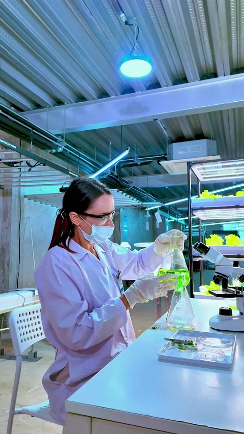 Female scientist in lab coat analyzing green plant samples under LED lights. Stock Footage 305747500