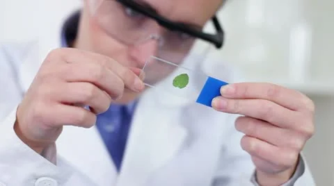 Female scientist looking at glass slide with green leaf HD Stock Footage 10660341