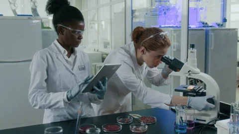 Female Scientist Looking at Meat through Microscope, Assistant Taking Notes Stock Footage 294612786