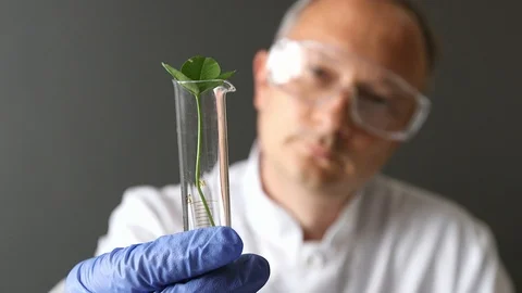 Female scientist looking at plant leaf in glass slide Vídeo Stock 93398853