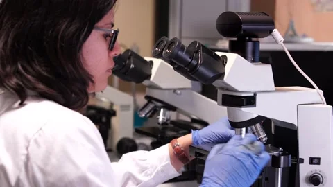 Female scientist looking at sample on mi... | Stock Video | Pond5