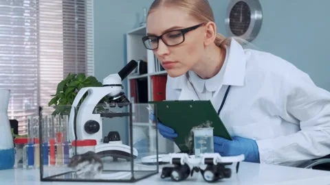 Female Scientist Observing Hamster and Taking Notes in Laboratory Stock Footage 340980179