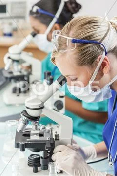 Female scientist research team using microscopes in laboratory Stock Photos