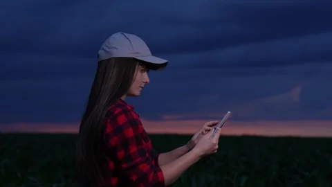 Female scientist with tablet studies corn at sunset, Field research, Evening Stock Footage 311896330