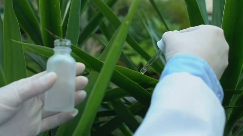 Female scientist taking liquid sample from plant leaf, ecological experiment 動画素材 118912999