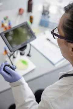 Female scientist using digital microscope in laboratory Foto stock