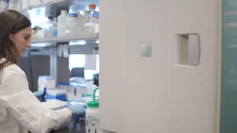 Female Scientist Working In Lab Stock Footage 122935436