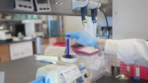 Female Scientist Working In Lab Stock Footage 122936135
