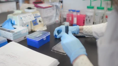 Female Scientist Working In Lab Stock Footage 122936397