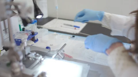Female Scientist Working In Lab Stock Footage 122937045