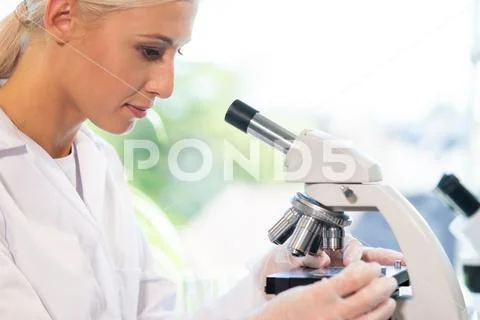 Female scientist working in modern lab. Doctor making microbiology research Stock Photos