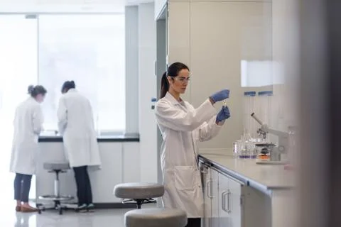 Female scientist working in a science laboratory Stock Photos
