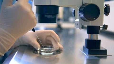 A female scientist is working with sperm sample perfoming IVF, eco Stock Footage 86392253