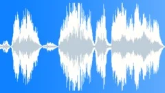 Female: scream, fear, horror, shocking, painSound Effect