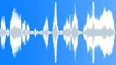 Female: scream, fear, horror, shocking, pain Sound Effect
