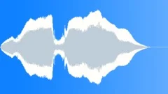 FEMALE SCREAM WOO HOO 02 Sound Effect