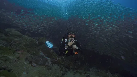 Female SCUBA diving through big school of fish and blows kiss koh tao thailand Stock-Footage 124062907