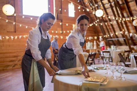 Female servers setting table for wedding reception Stock Photos