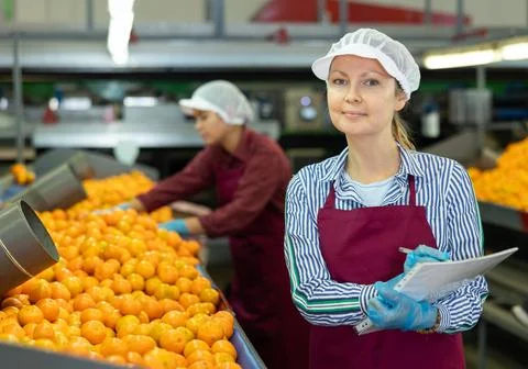 Female shift supervisor with papers inspecting mandarins sorting line Stock Photos