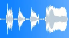 Female: shouts, fear, horror, shocking, panicSound Effect