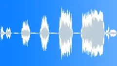 Female: shouts, fear, horror, shocking, panic Sound Effect