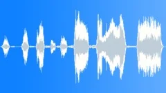 Female: shouts, fear, horror, shocking, panicSound Effect