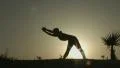 Female silhouette doing body stretching exercises, practicing yoga in sunlight HD Footage