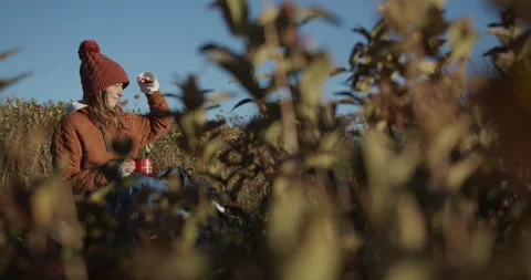 Female sitting in a mountain top field drinking tea and watching the sunset Stock Footage 141016542