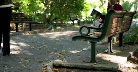 Female sitting on park bench, reading hardcover book for study with passersby Stock Footage 344105253