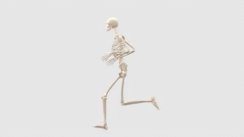 Female Skeleton Run Side Alpha Stock Footage 333771918