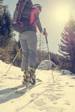Female ski tourer ascending a forest slope. Stock Photos