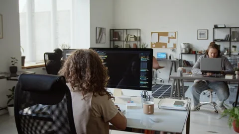 Female Software Developer Coding on Desktop Computer in Office Stock-Footage 348151109