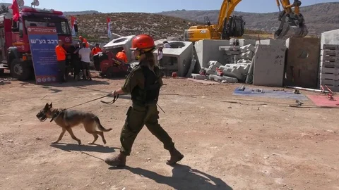 Female soldiers with rescue dogs are going to search under concrete Stock Footage