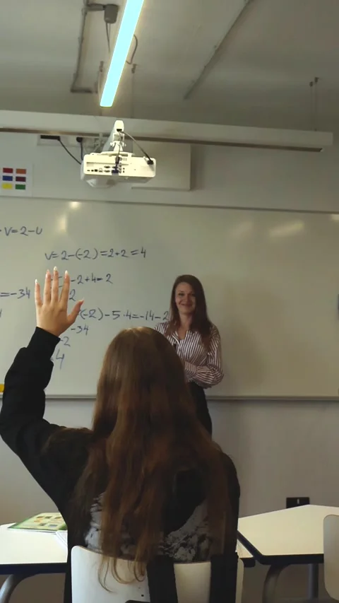 Female student asking a math question in class Stock Footage 345550790