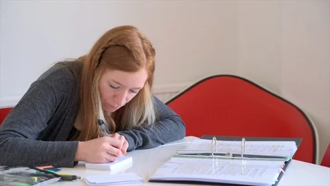 Female Student Making Flash Cards Stock Footage 90208384
