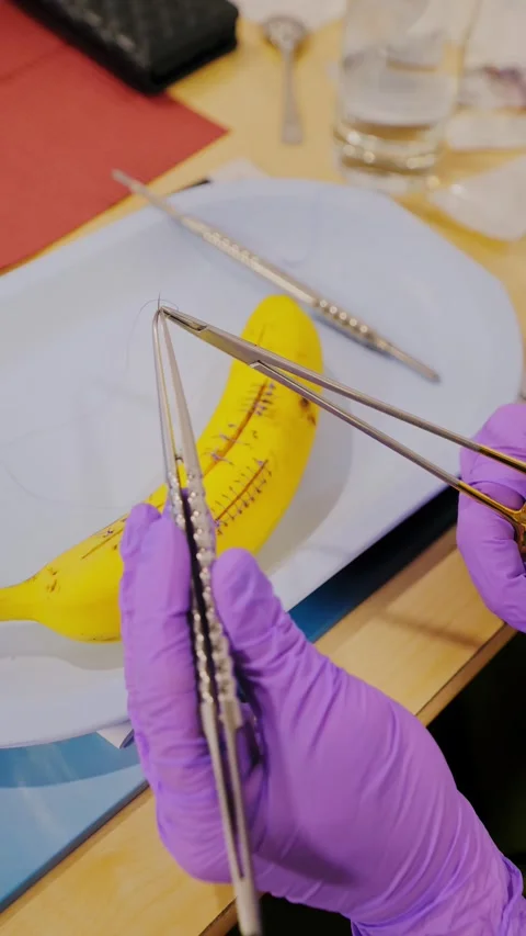 Female Student Practices Suturing Technique - Vertical Implant Training Shot Stock Footage 311905436